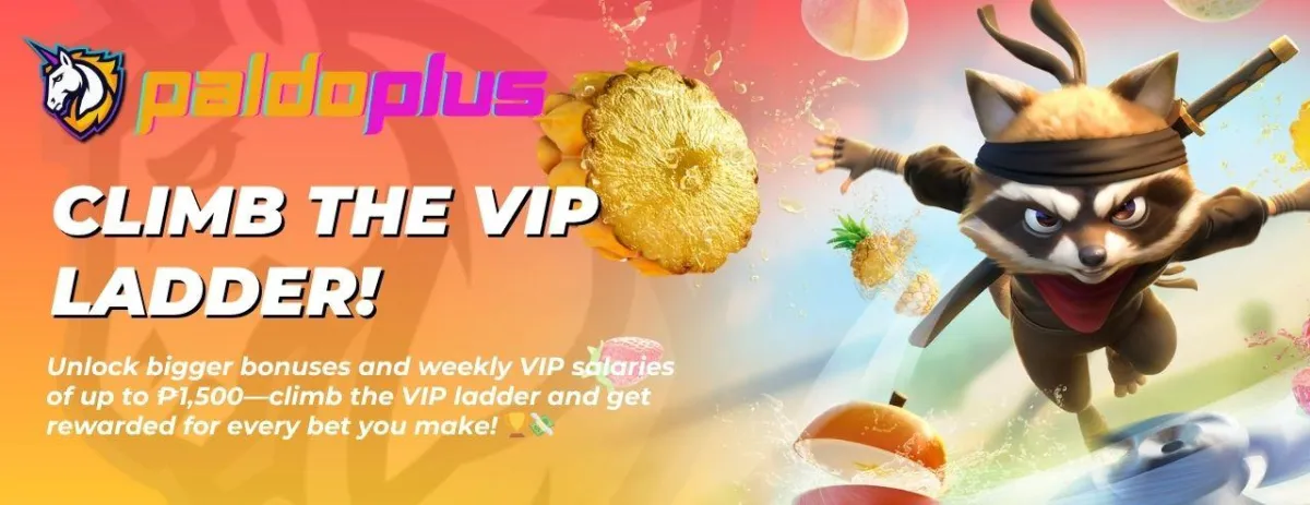 paldoplus climb the vip leader!