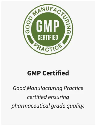 Erectrozil gmp certified