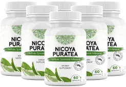 Nicoya PuraTea six bottles