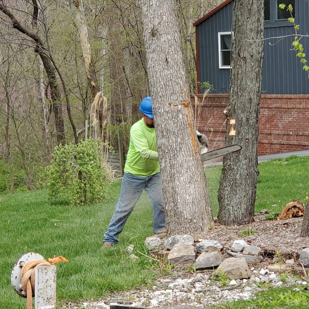 Tree Service