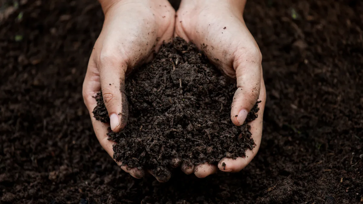 Trust Is the Soil