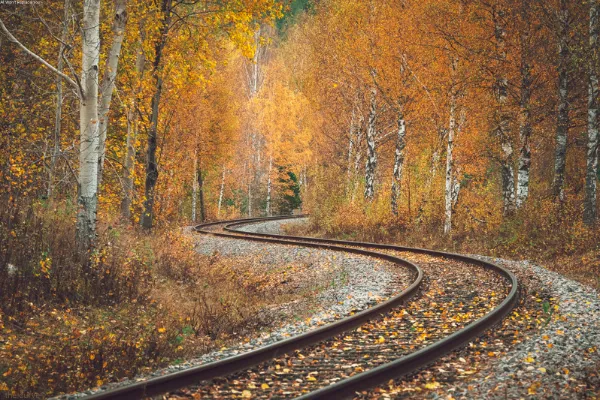 Meeting Yourself on the Curve