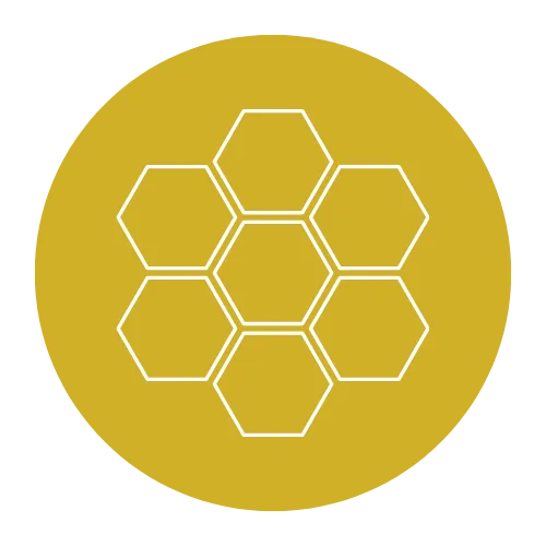 Ion Design