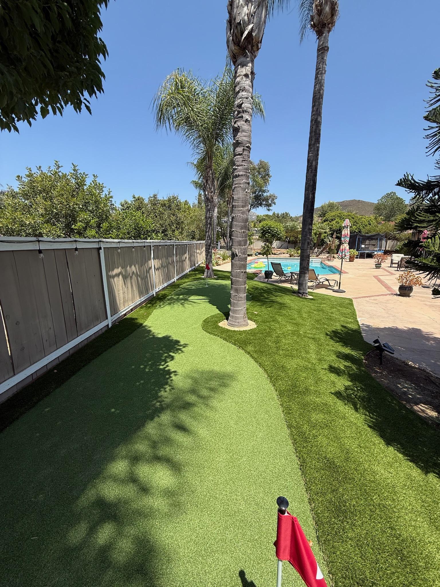San Diego yard with turf