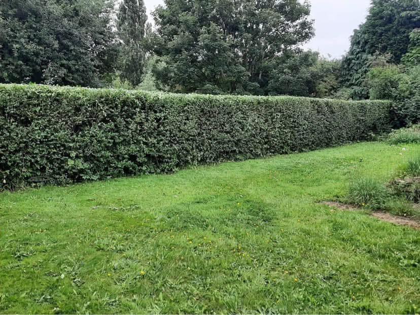 Fencing in Clydebank