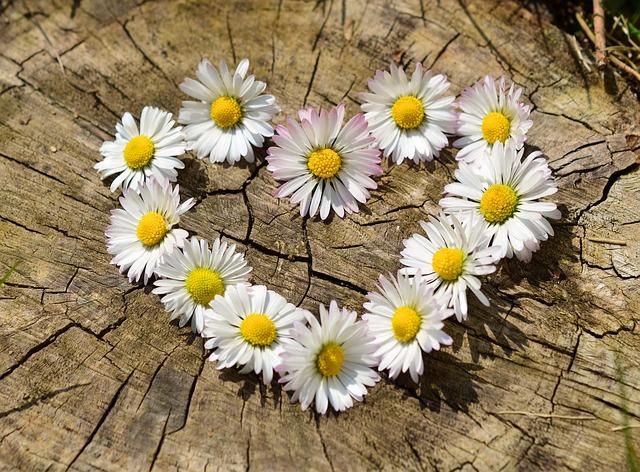 Helping children with grief