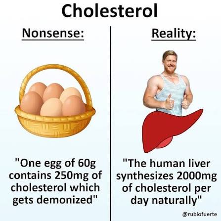 cholesterol is not caused by what you think it's caused by...