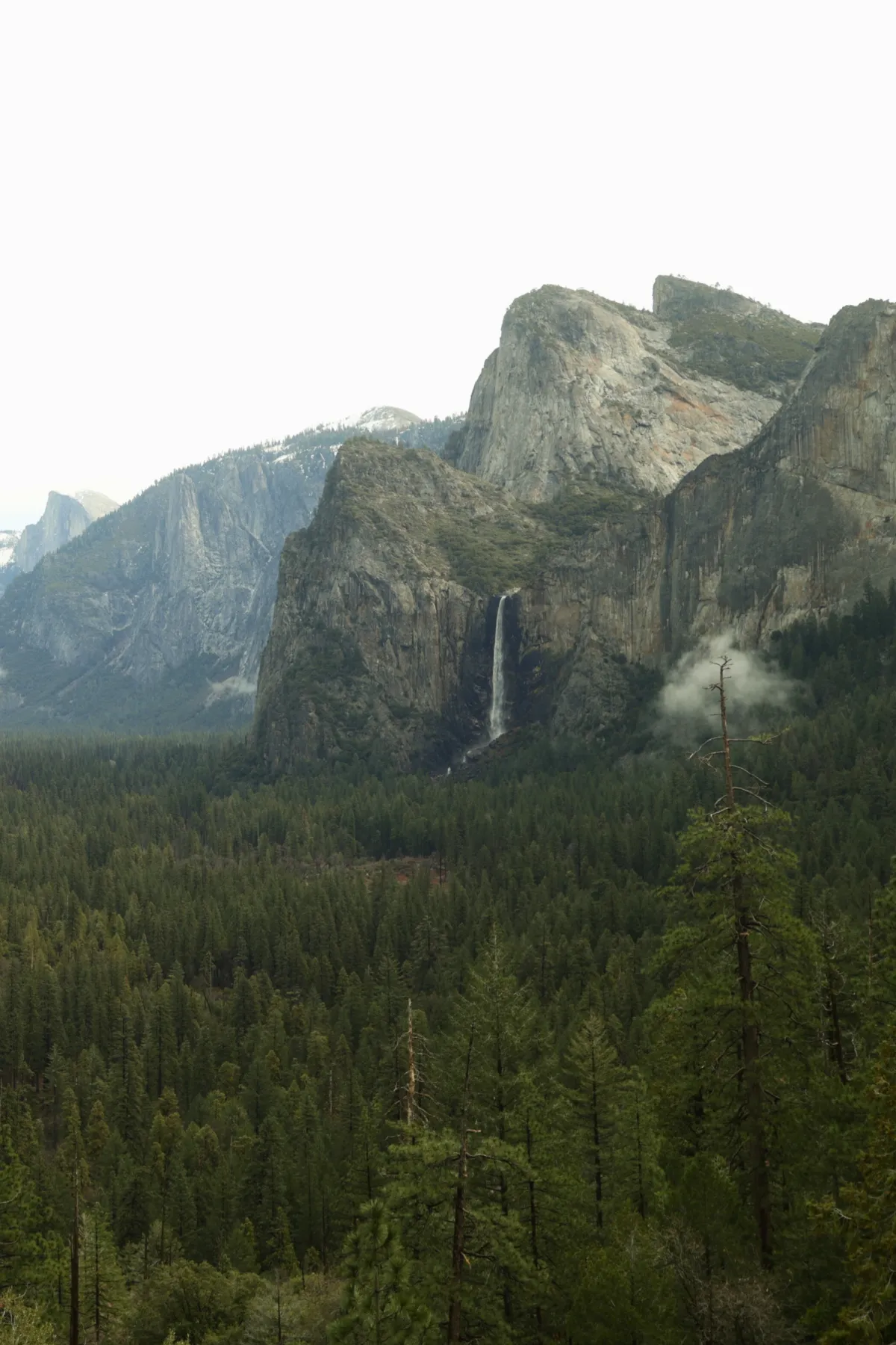 Lonely road at blue hour with gas station lights