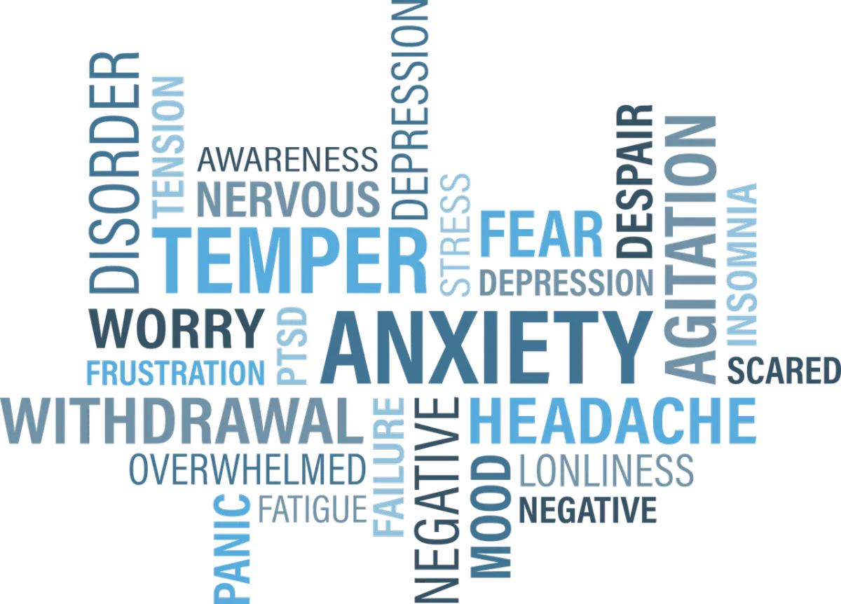 Calm therapy conversation in a bright, safe office setting