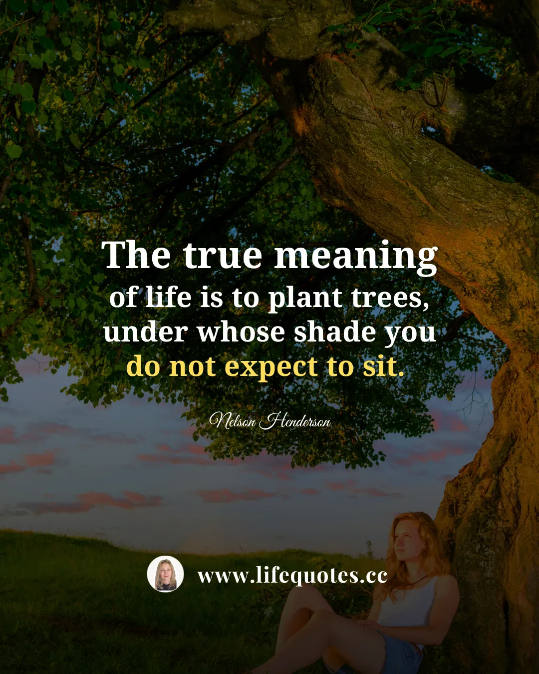 Life is unfolding just as it should