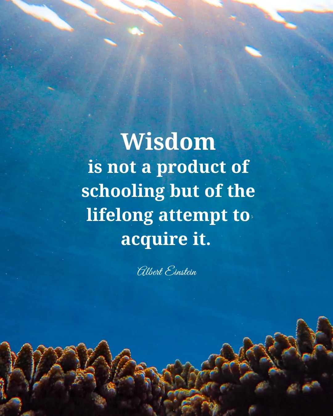 We are all connected