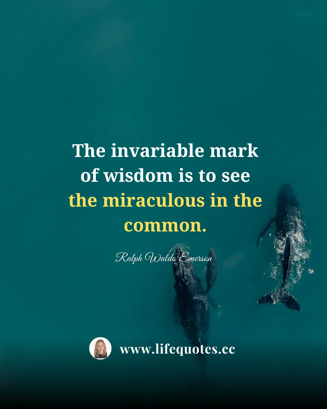 You are loved and you are safe