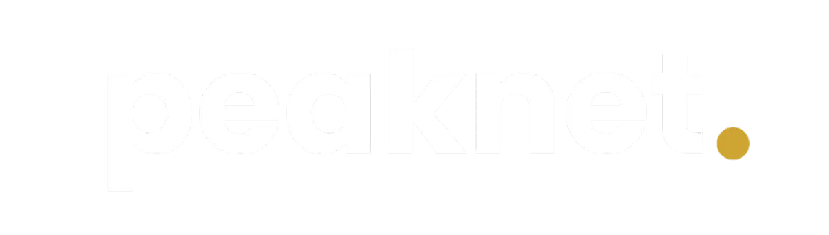 Peak Net Logo