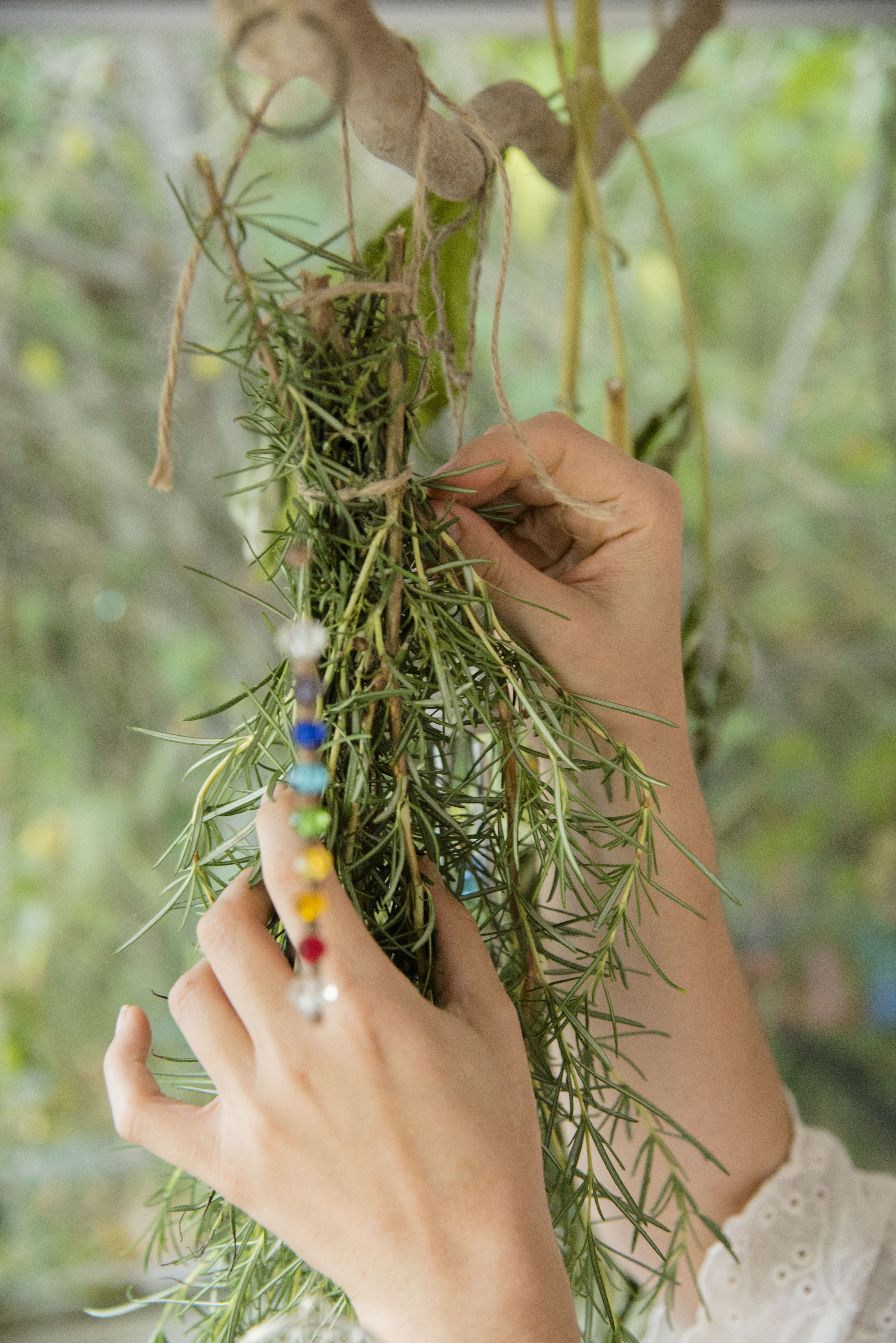 Frascos con plantas medicinales