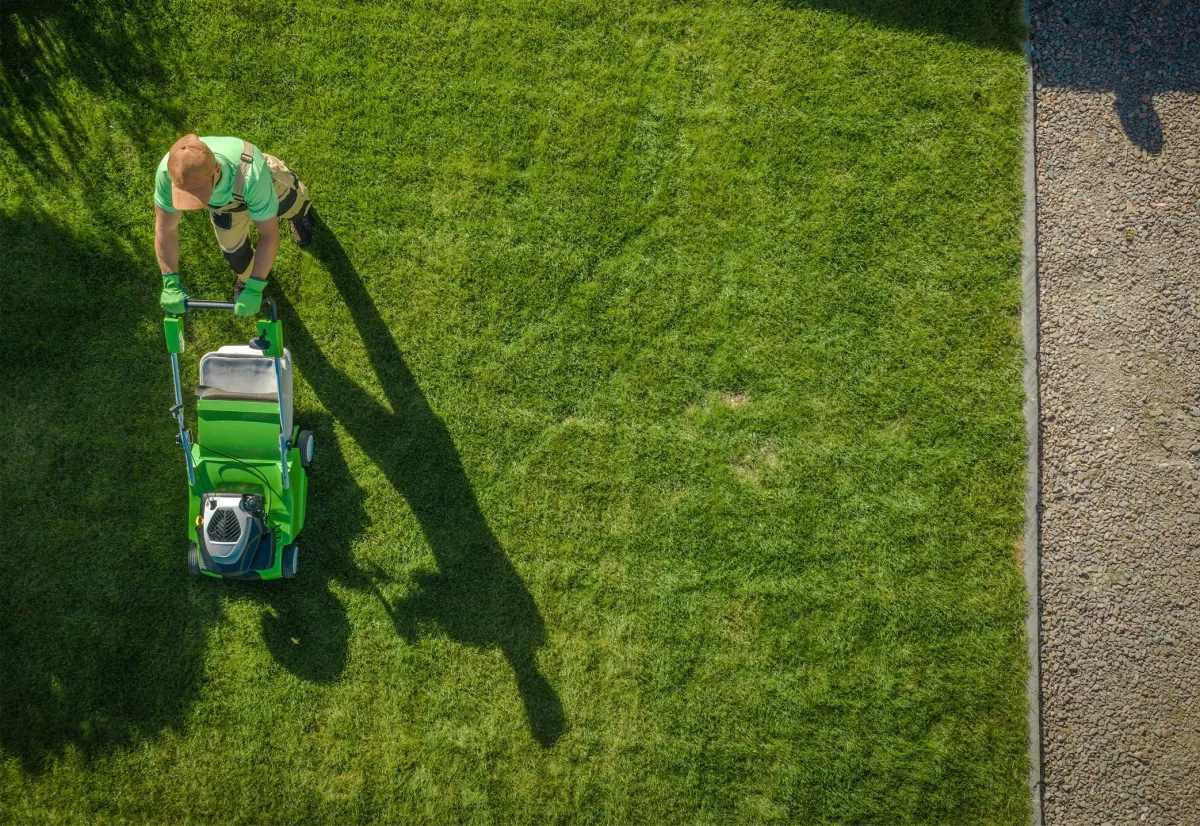 Lawn Care Maintenance in Dallas, TX