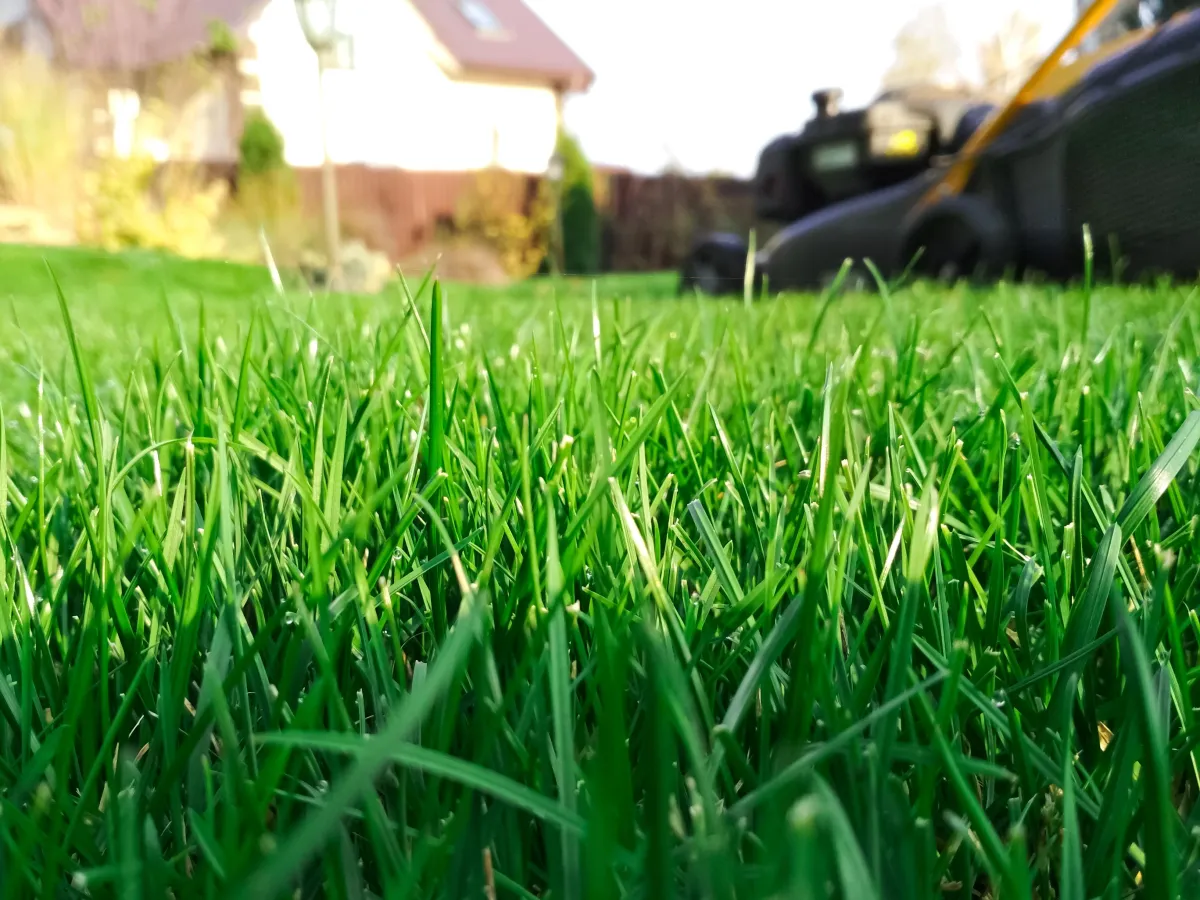 Lawn Care Maintenance, mowing, and edging services in Dallas, TX