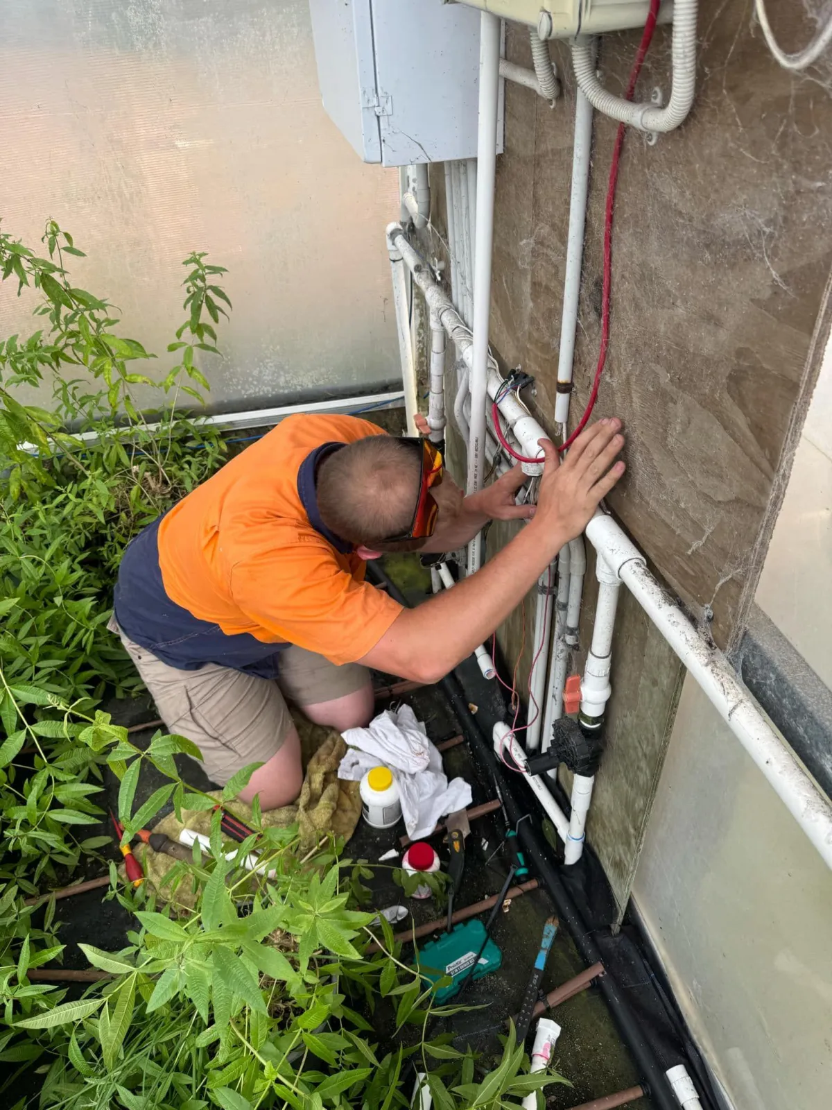 Plumber repairing irrigation system wiring inside greenhouse environment
