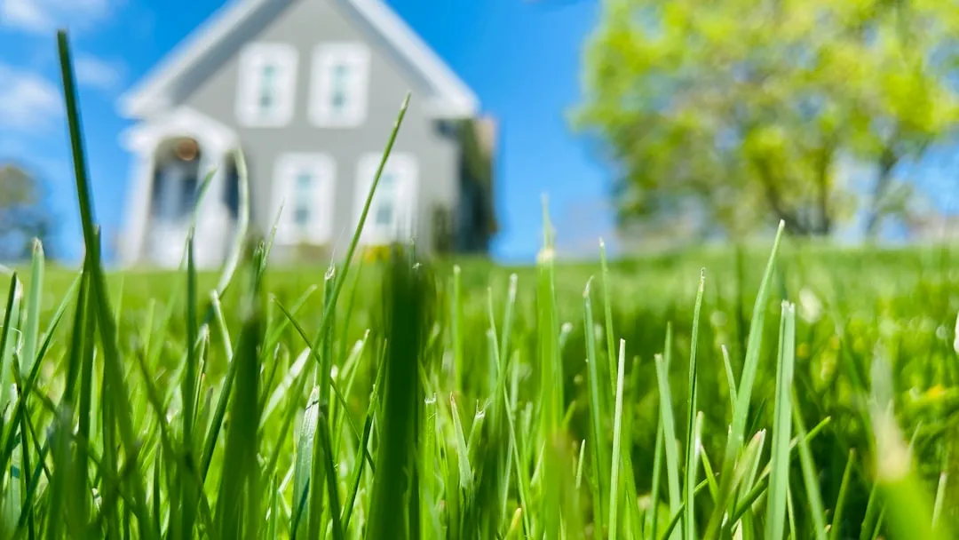 Green lawn in front of a house