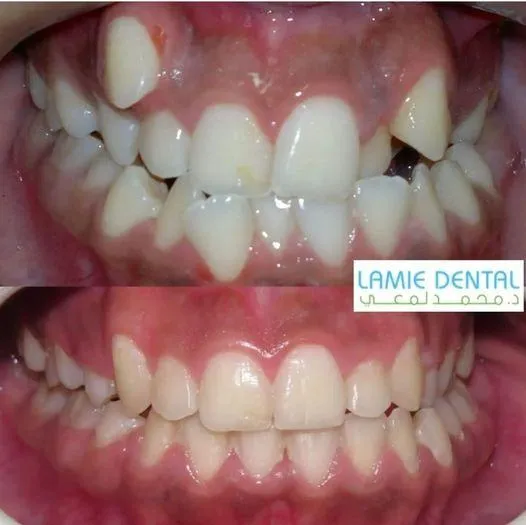 Techno Viz  - Fully Dedicated To Your Dental Health