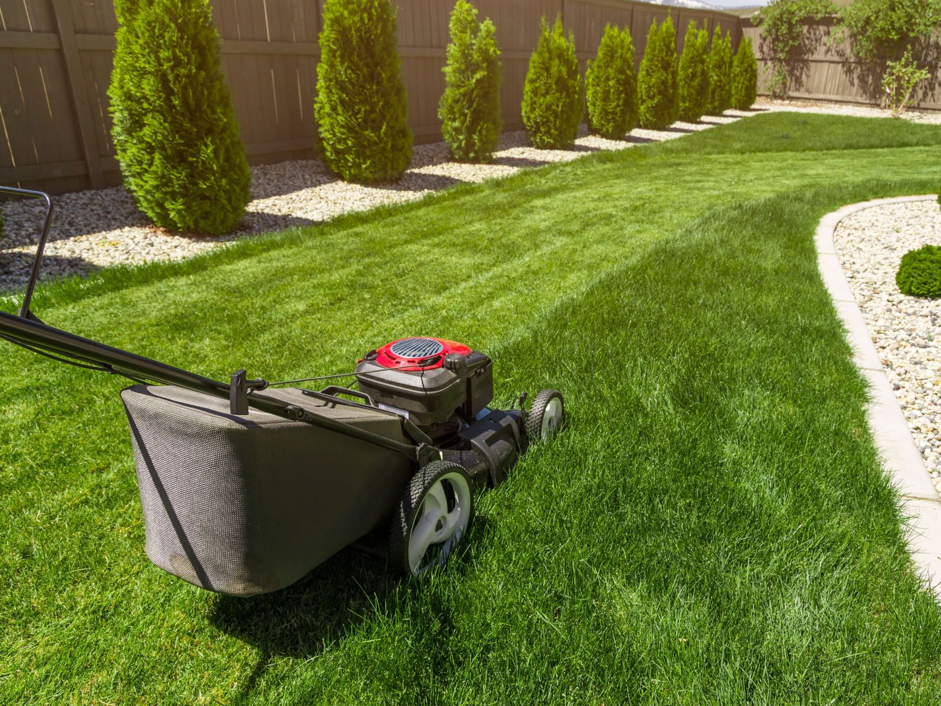 The Art and Science of Tree and Lawn Care Services in Connecticut