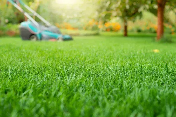 Maximizing Outdoor Living Space in Connecticut