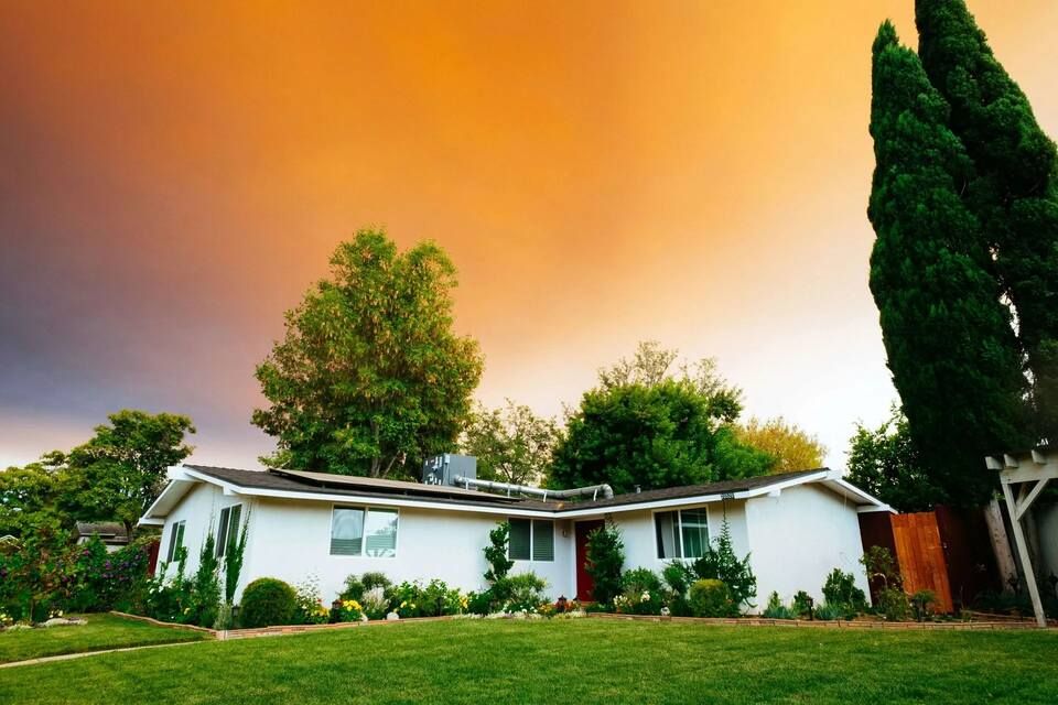 What Are the Best Landscaping Trends to Watch for in 2024?
