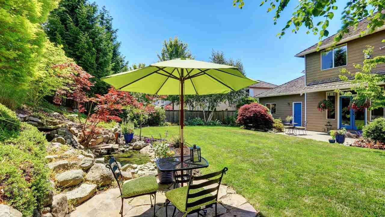 Key Considerations for Homeowners Planning a Landscape Renovation