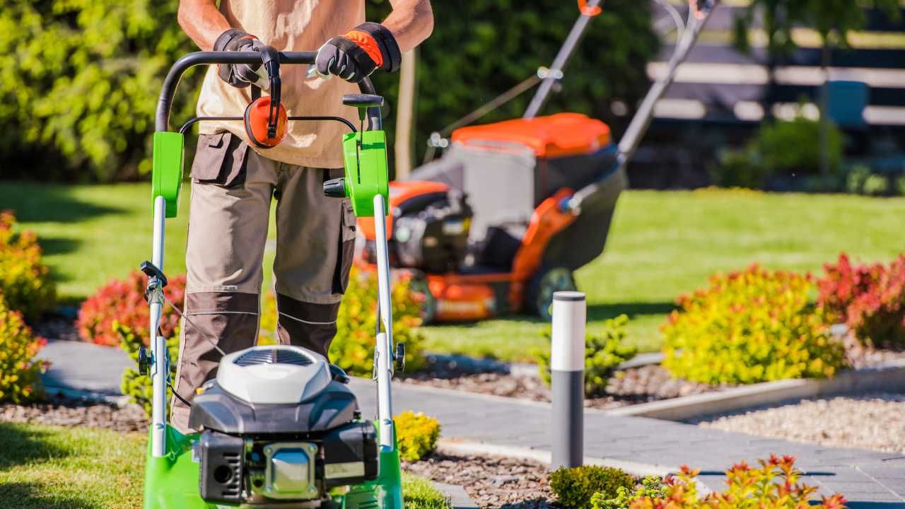 10 Must-Have Tools for DIY Landscaping Projects