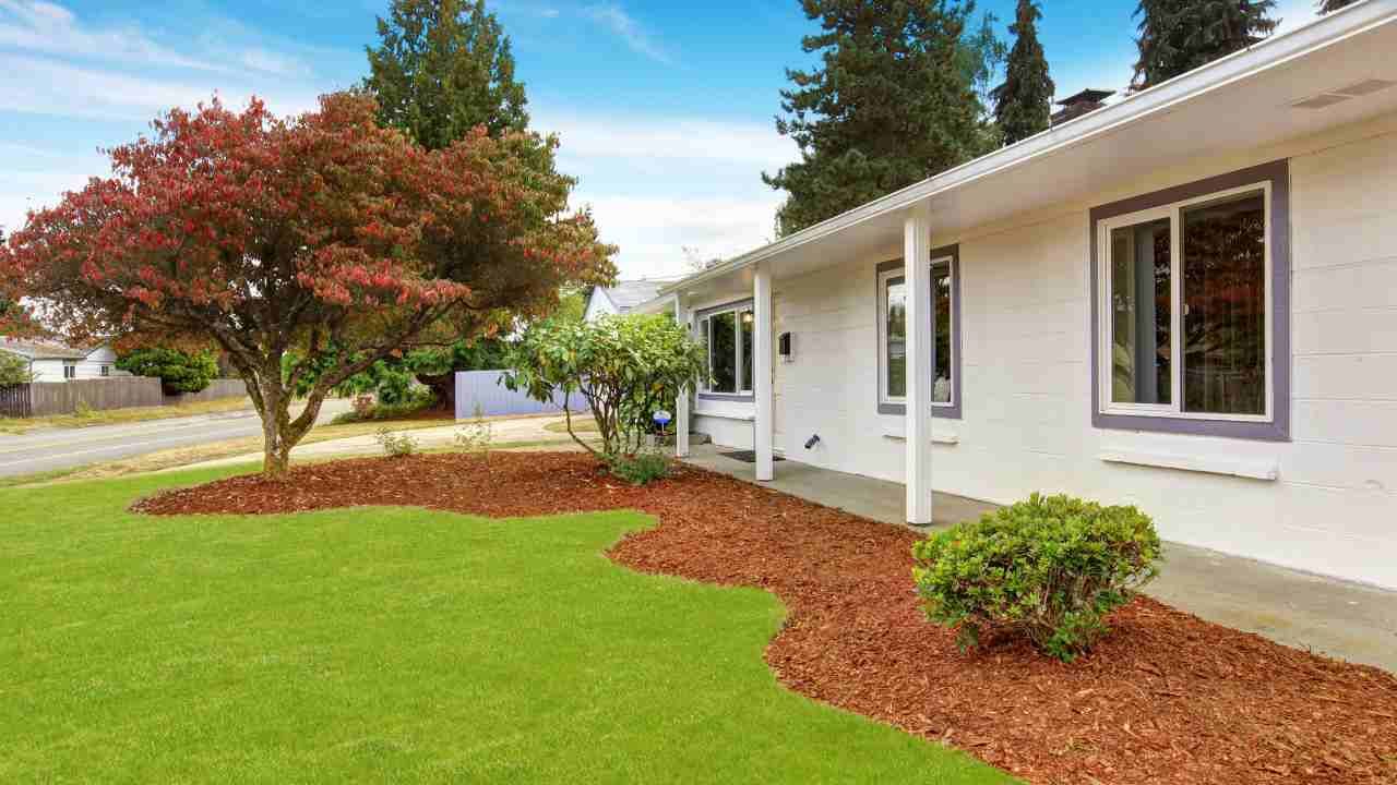 What Do Landscaping Do? A Complete Guide for Homeowners in Connecticut