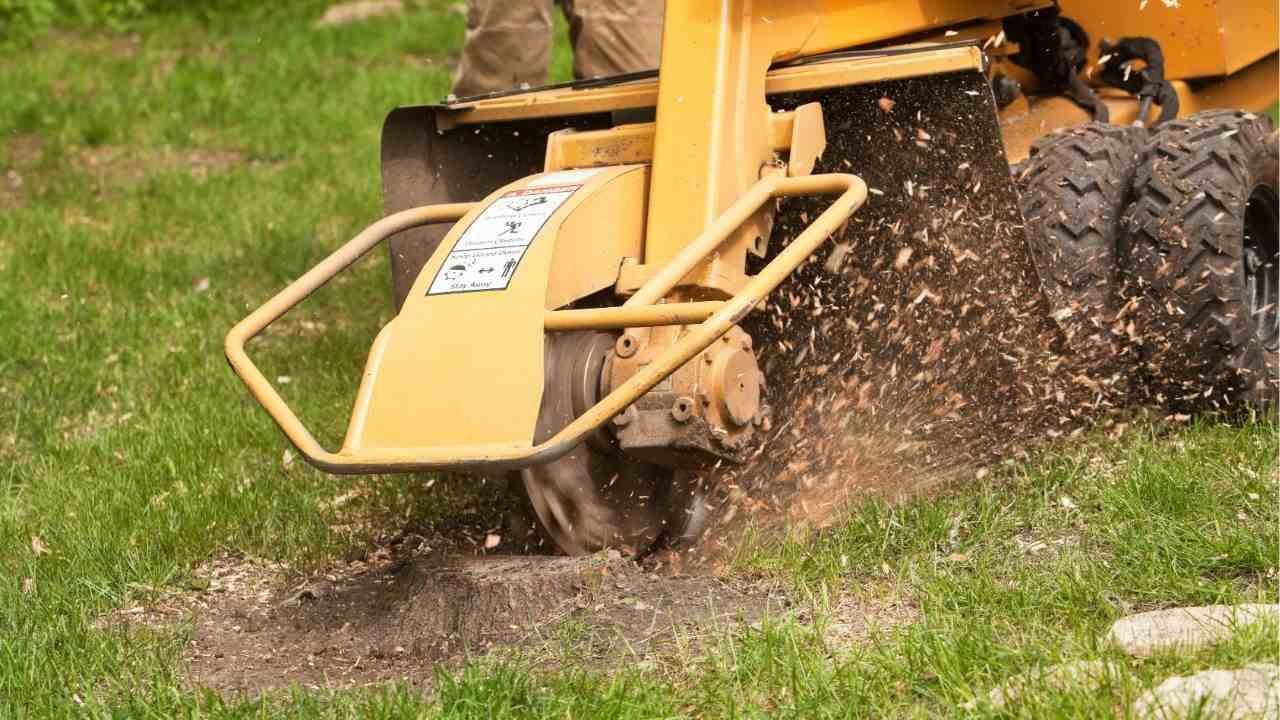 Before You Mulch: Why Grinding the Stump Is Step One
