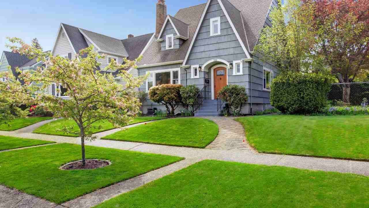 landscaping tips