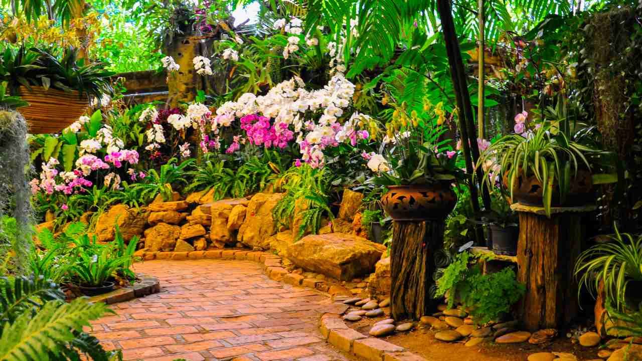 Landscaping Around Large Tree Roots and Stump Areas