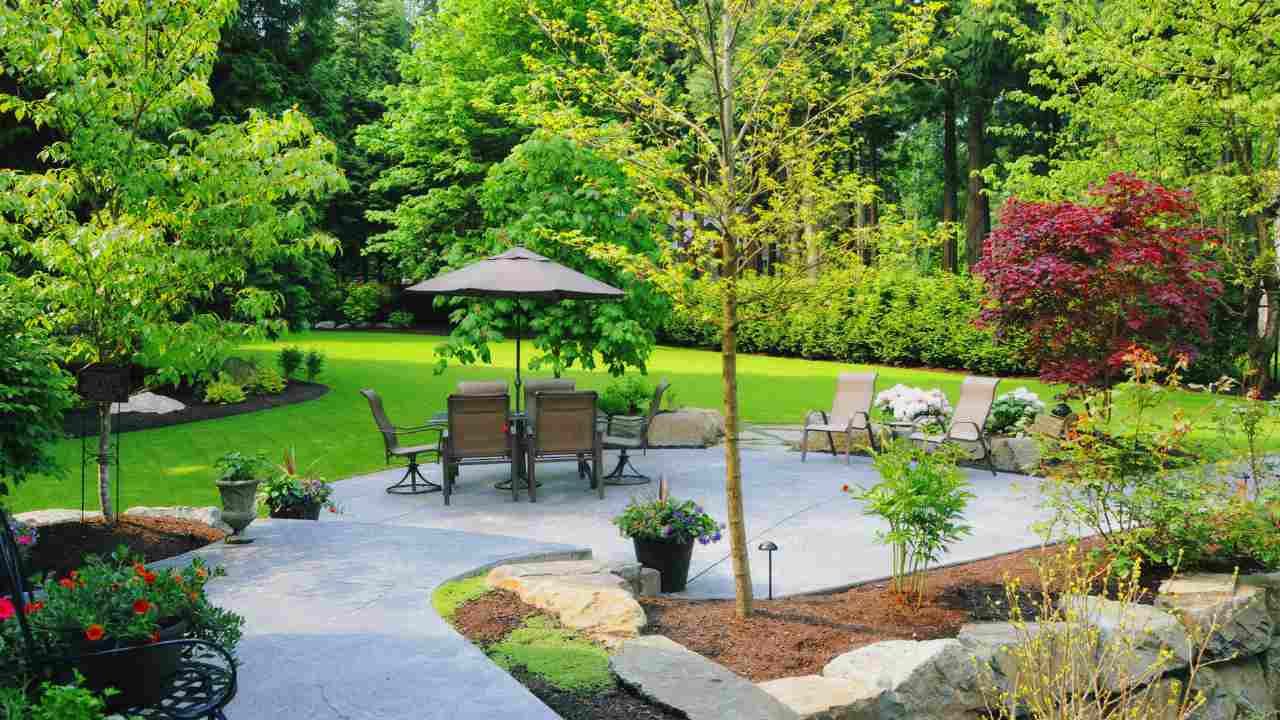 How Trees and Landscaping Can Increase Your Property Value