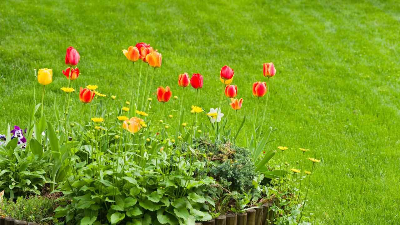 Get Your Yard Spring-Ready: Expert Landscaping Tips for New Haven Homeowners
