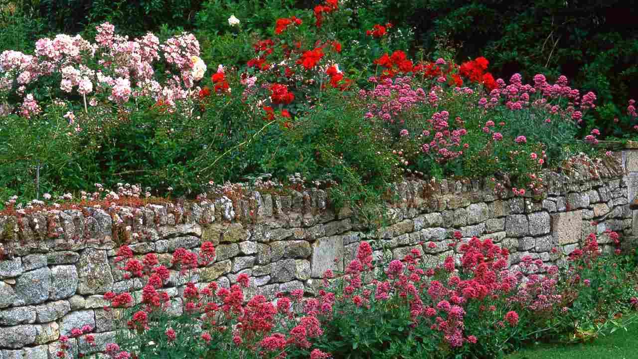 The Benefits of Native Plant Landscaping in New Haven