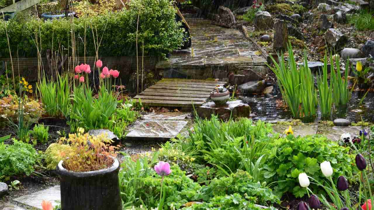 Rain Garden Guide: Prevent Yard Flooding Fast