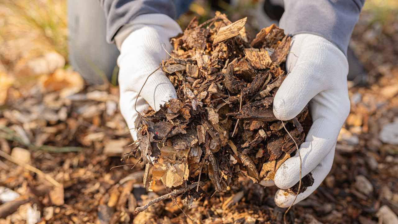 The Benefits of Composting and Natural Fertilizers