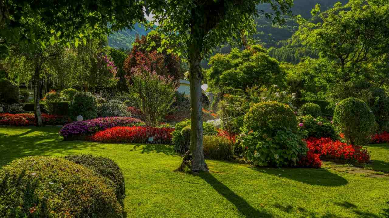 Common Landscape Design Mistakes to Avoid