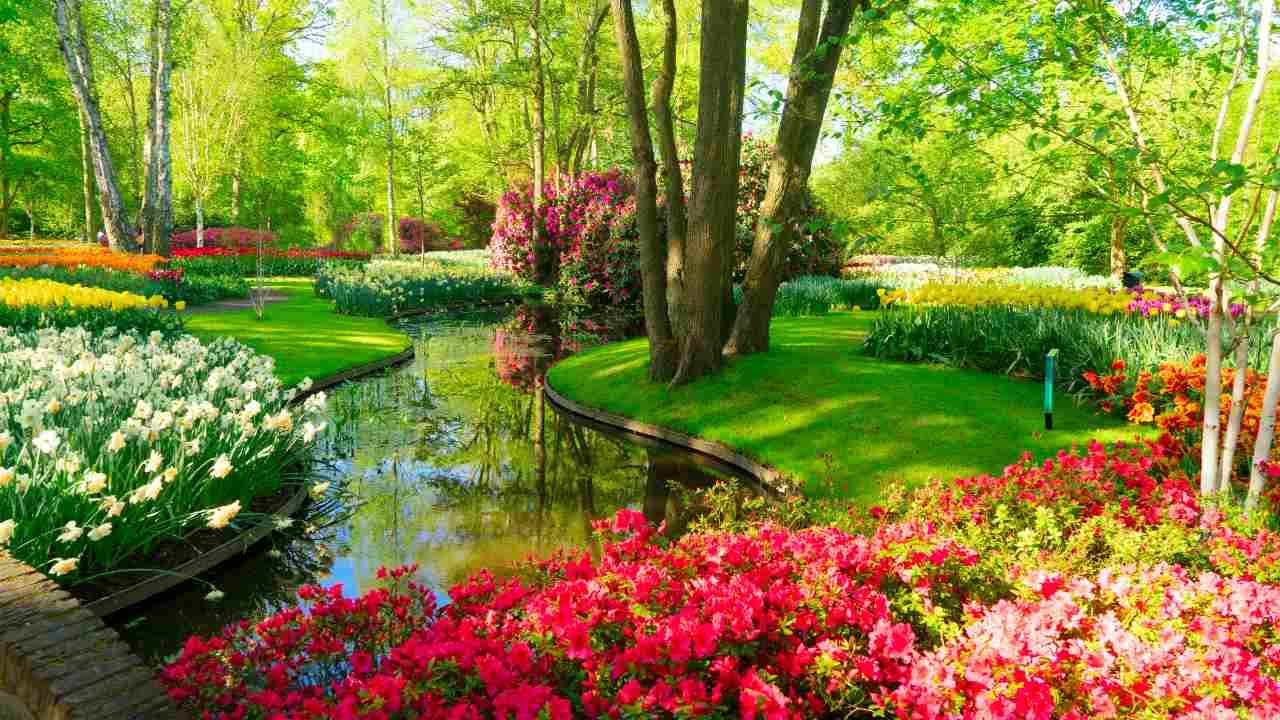 10 Secrets to a Greener, Healthier Lawn