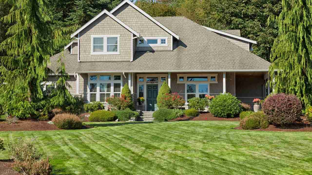 Modern vs. Classic Landscaping Styles: Which Suits Your New Haven Home?