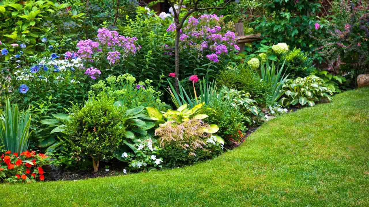 How to Choose the Right Grass Seed for New Haven Climate