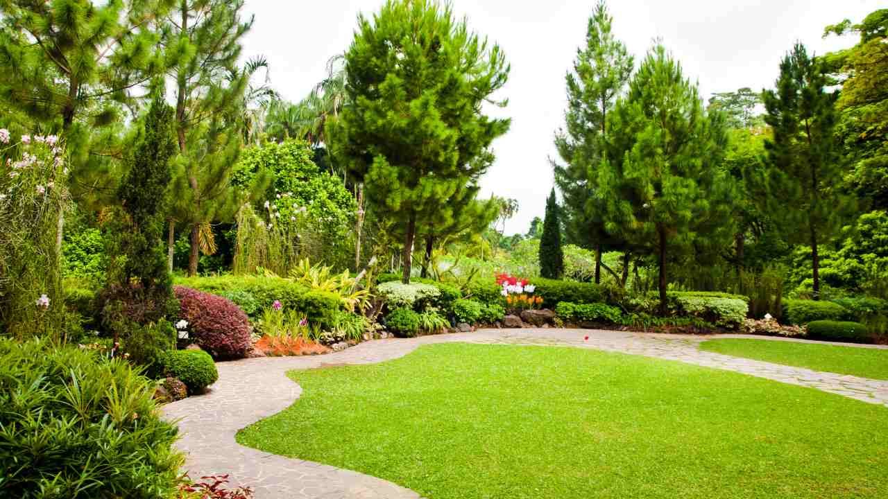 climate-smart gardening