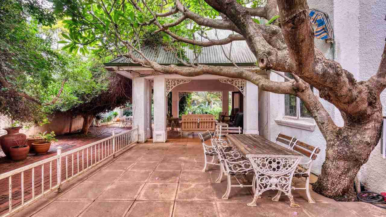 hardscaping around trees
