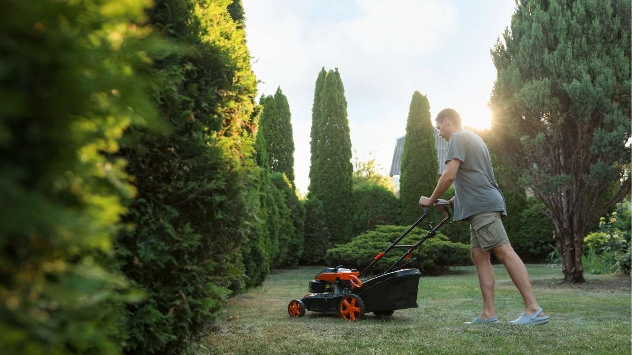 lawn care tools