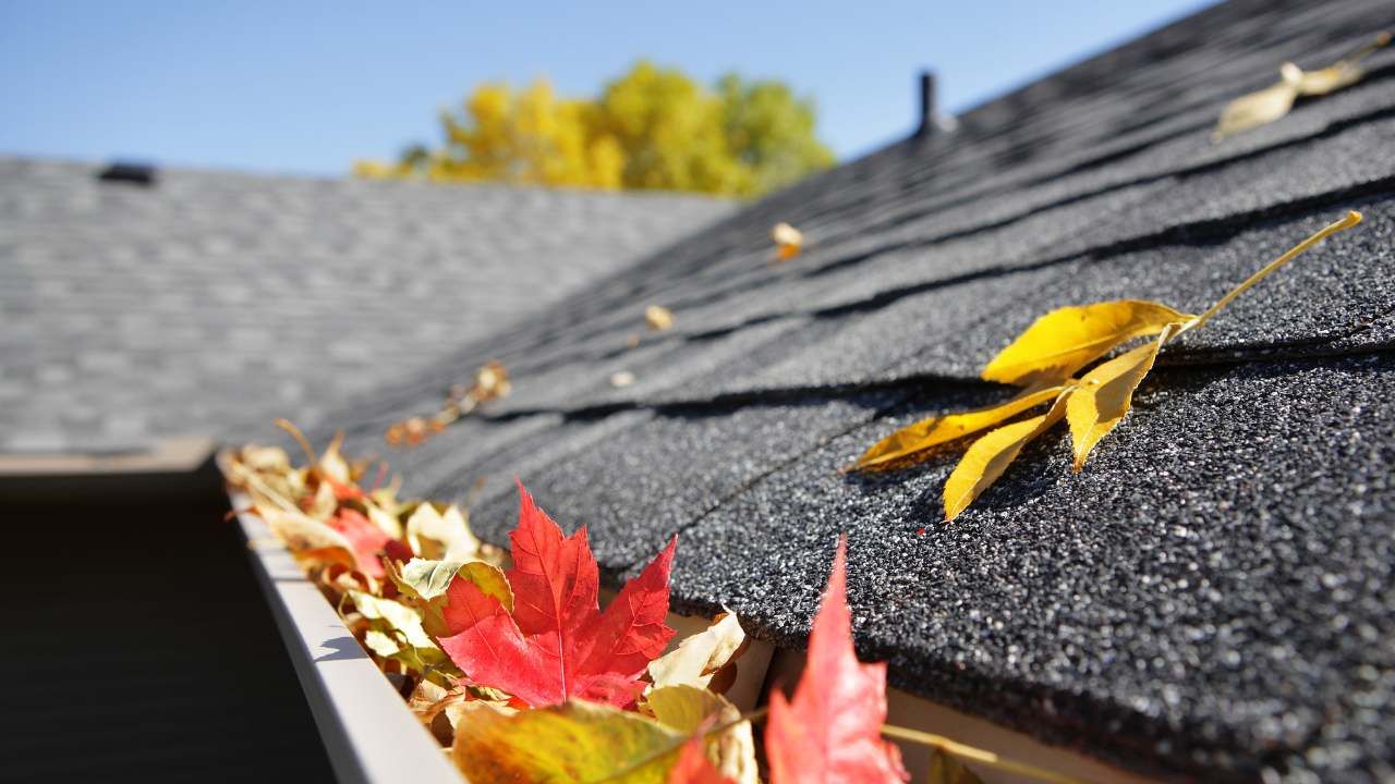 seasonal gutter care