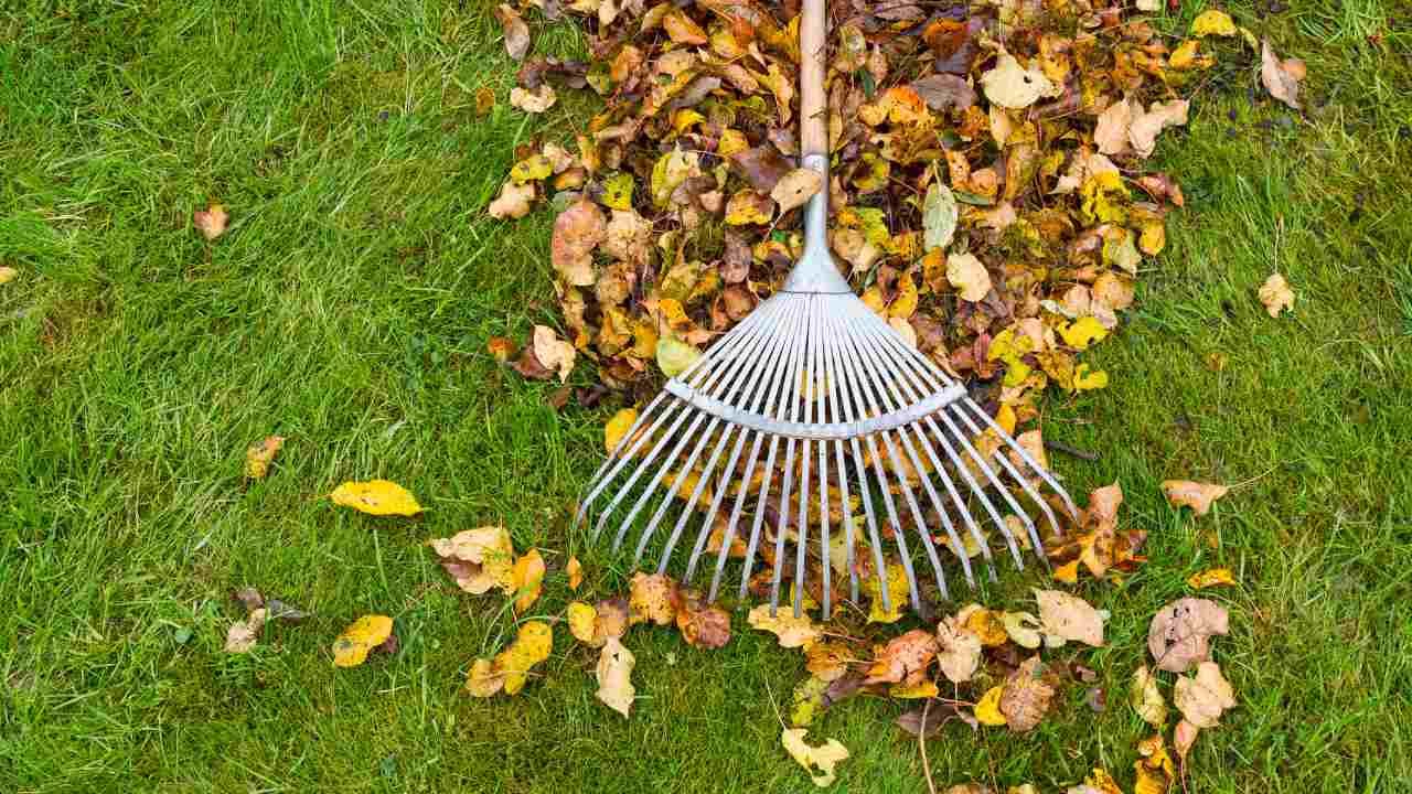 prepare yard for winter
