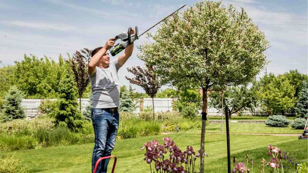 tree pruning