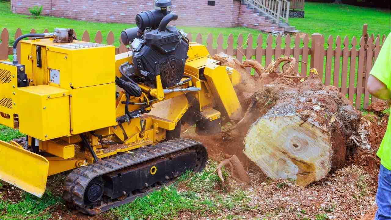 benefits of professional stump grinding