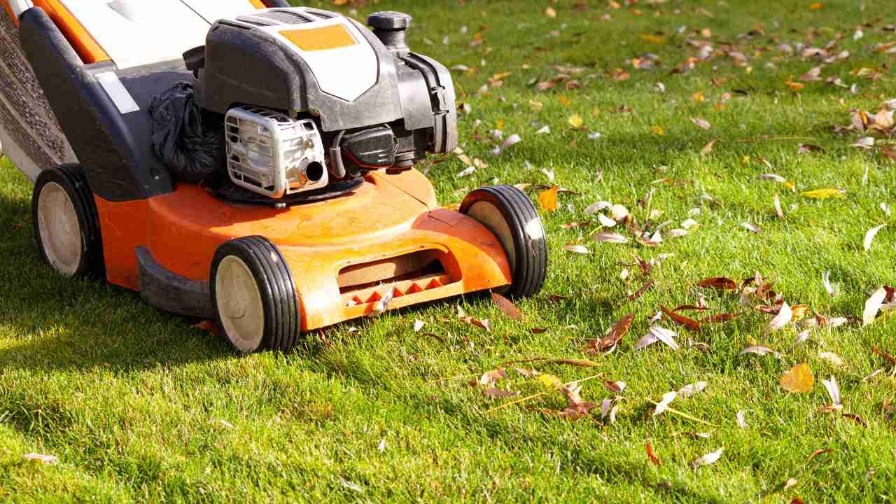 fall lawn care