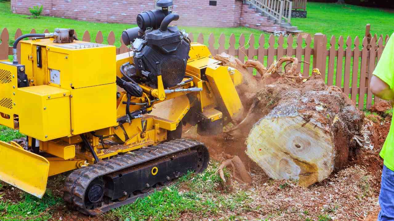 stump grinding